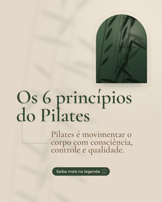Post Os 6 princípios do Pilates